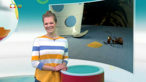 Zprávičky - 18. května 2021