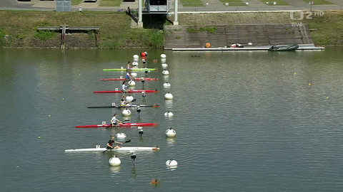 ME v rychlostní kanoistice 2025 Česko - ME Česko