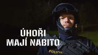 Úhoři mají nabito