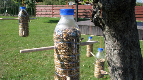 Šikulové - 24. listopadu 2013