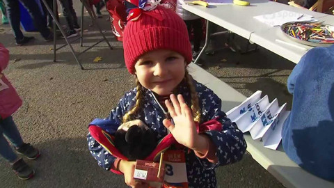 Sokolský zpravodaj - Sokolský běh republiky 2022