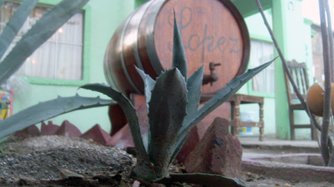 Poklady světa - Tequila
