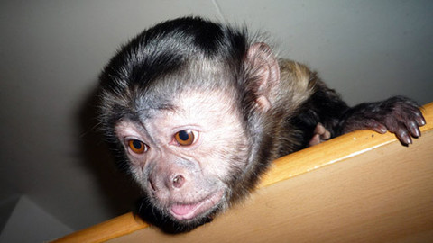 Máte mě! - 20. listopadu 2011