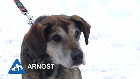 Chcete mě? - Chcete je?