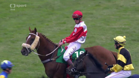 Dostihy - České derby 2017