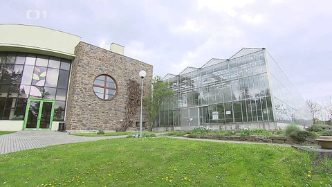 Týden v regionech (Ostrava) - 6. května 2023