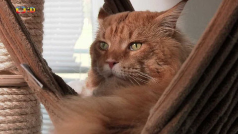 Wifina - 16. října 2020