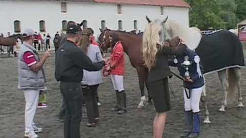 Jezdectví - M ČR v jezdecké vytrvalosti Mikulov