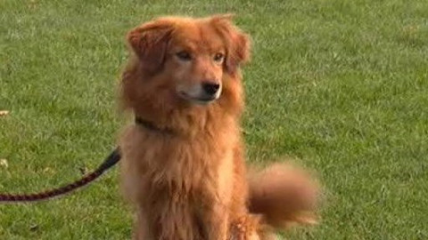 Chcete mě? - Chcete je?