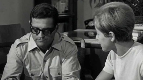 Příloha Televizních novin - Jak odvolávat poslance?