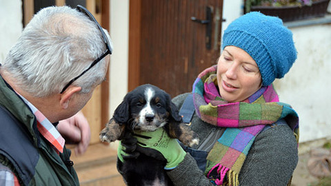 Malá farma - Očkované štěně