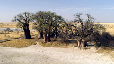 Afrikou letem světem - 3/6 Botswana