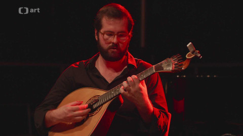 Bohemia JazzFest - Bohemia JazzFest 2023