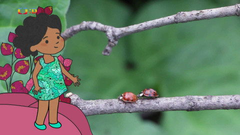 Velká kniha o zvířátkách - Epizoda 12/52