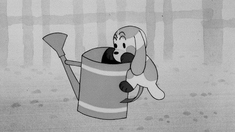 O štěňátku - Jak sluníčko vrátilo štěňátku vodu