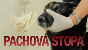 Obrázek pořadu Pachová stopa