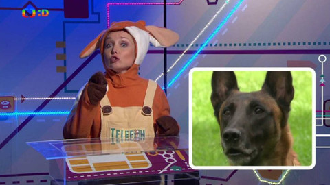 Telefon - 3. listopadu 2017