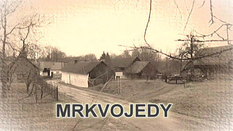 Divnopis aneb Proč se to tak jmenuje? - Mrkvojedy