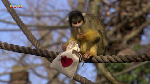 Zprávičky - 14. února 2021