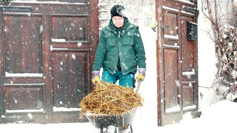 Malá farma - V závějích