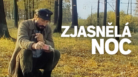 Zjasnělá noc