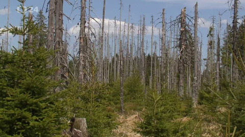 Historie.cs - V ráji šumavských hvozdů