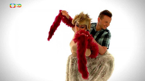 Dr. Žako - O pštrosici z domovního znamení