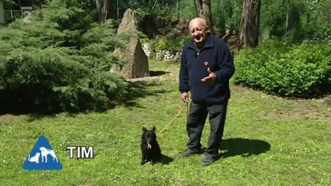 Chcete mě? - 22. května 2011