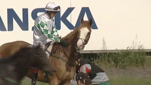 Jezdectví - Jarní cena klisen