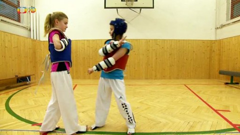 Lvíčata - Taekwondo