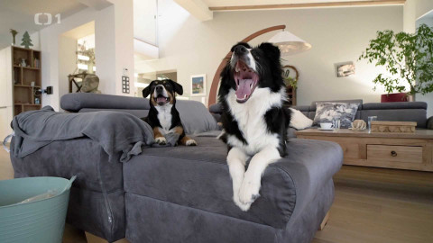 Polopatě - 23. února