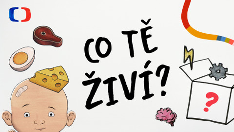 Síla z jídla aneb nekrmíš jen břicho - Co tě živí?