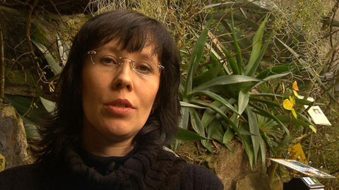 Sváteční slovo - Sváteční slovo redaktorky Kateřiny Horálkové Rózsové