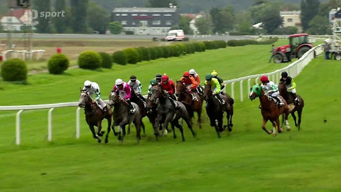 Dostihy - St. Leger