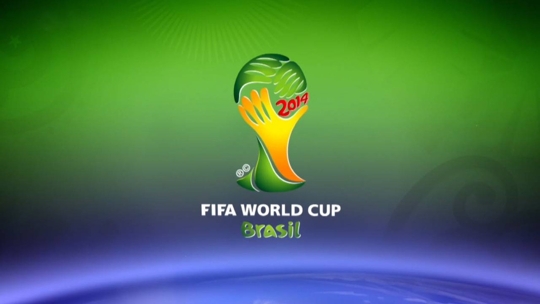 2014 FIFA World Cup