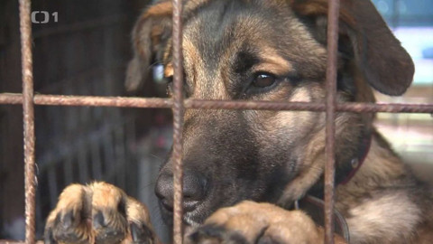 Týden v regionech (Ostrava) - 5. ledna 2019
