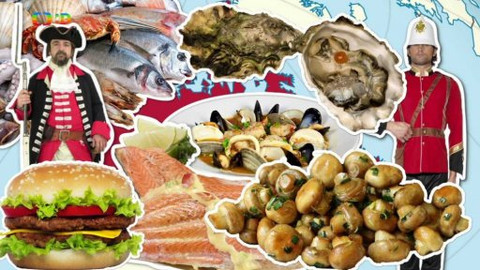 Draci v hrnci - Jeleni i lachtani v Kanadě hlad zahání