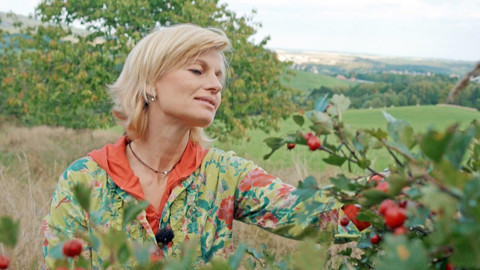 Kouzelné bylinky - Srdce, cévy, cholesterol