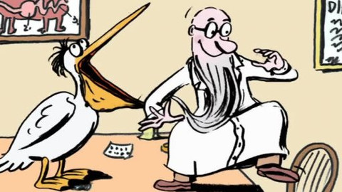 Doktor Animo - 11/13 Jak nechtěl klokánek skákat