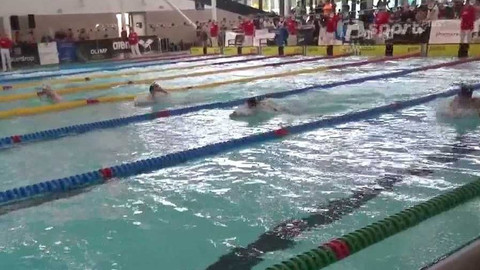 Plavání - Velká cena Brna