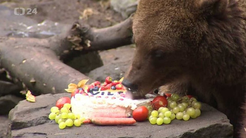 Regiony ČT24 - 23. listopadu 2019