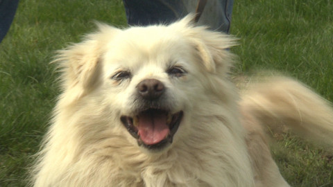 Chcete mě? - Chcete je?