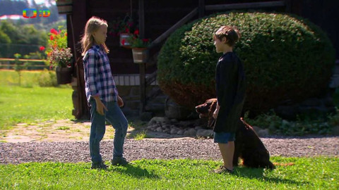 S Hubertem do lesa - Netopýří muž