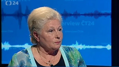 Interview ČT24 - 27. května 2014