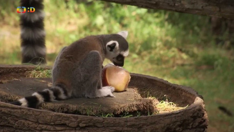 Zprávičky - 18. června 2019