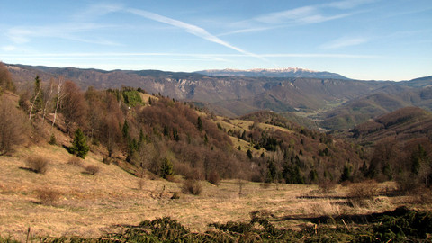 Návraty k divočině - Muráňská planina