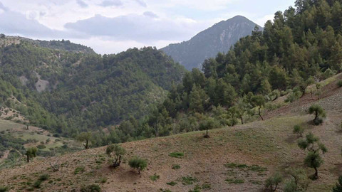 Dobrodružství vědy a techniky - Svobodu místo zajetí - stehlíci v Alžírsku