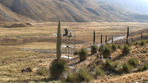 Obdivuhodný svět přírody - Puja Raimondova