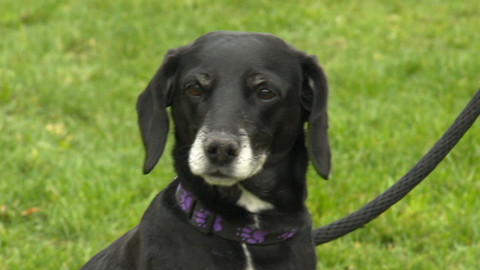 Chcete mě? - Chcete je?