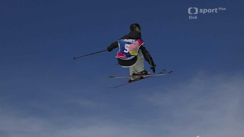 Světový pohár ve freestyle lyžování - Francie